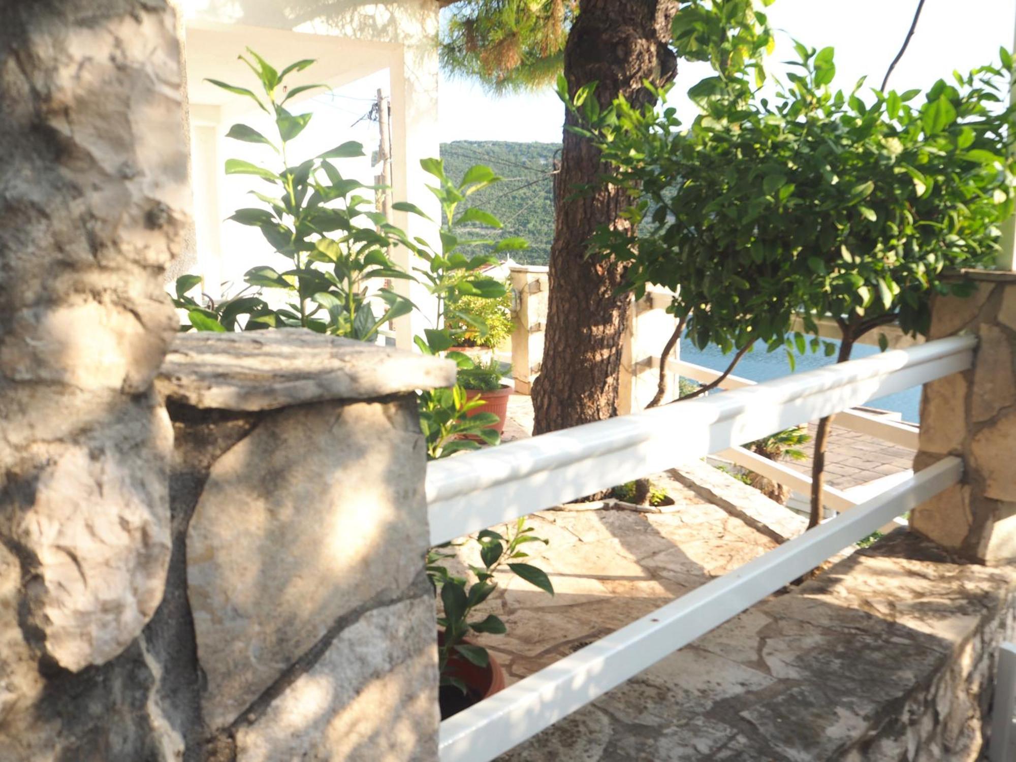 Roko * Neum