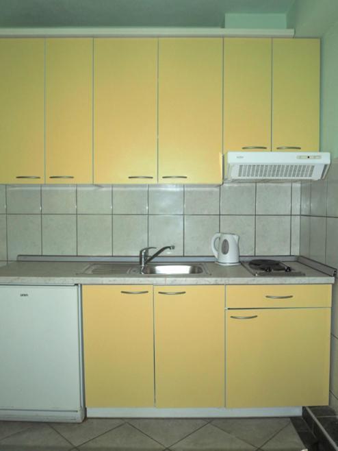 Apartment Roko